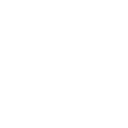 Property Damage